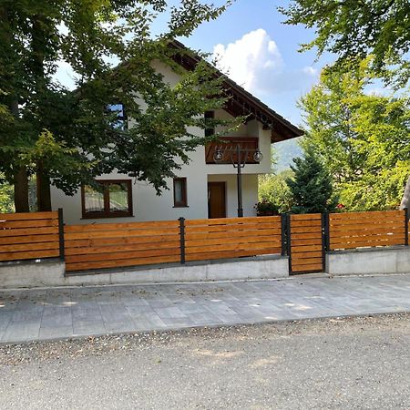 Casa De Vacanta Mogosa バイア・スプリエ エクステリア 写真