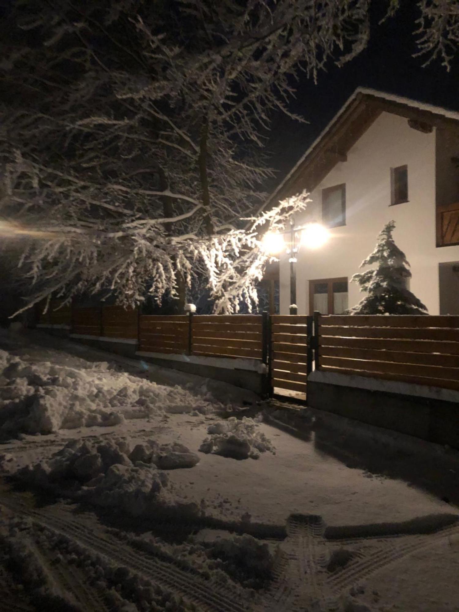 Casa De Vacanta Mogosa バイア・スプリエ エクステリア 写真