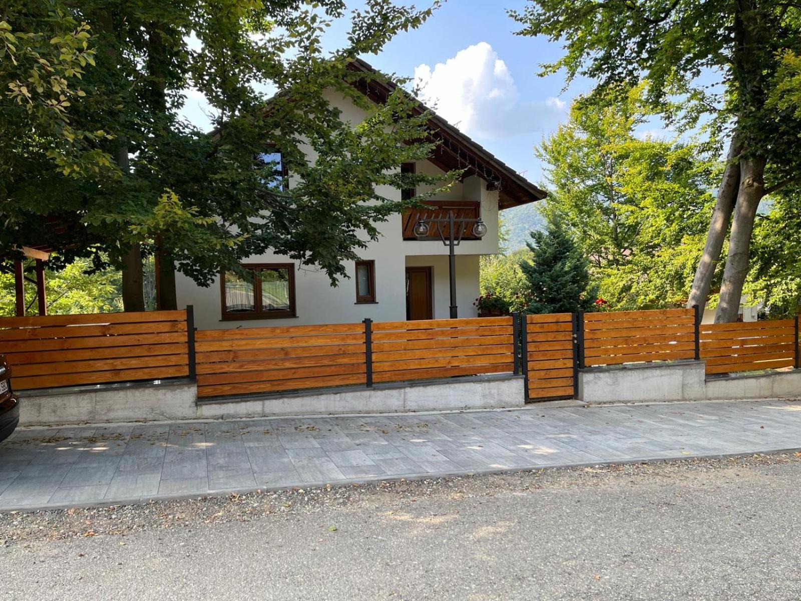 Casa De Vacanta Mogosa バイア・スプリエ エクステリア 写真