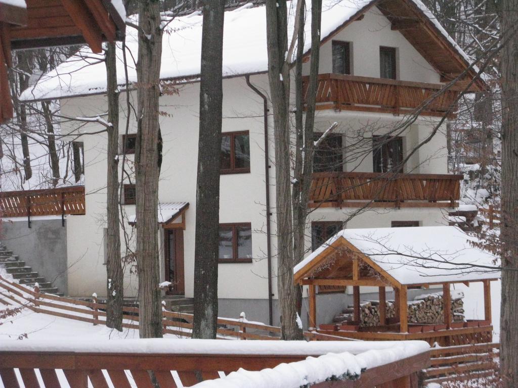 Casa De Vacanta Mogosa バイア・スプリエ エクステリア 写真