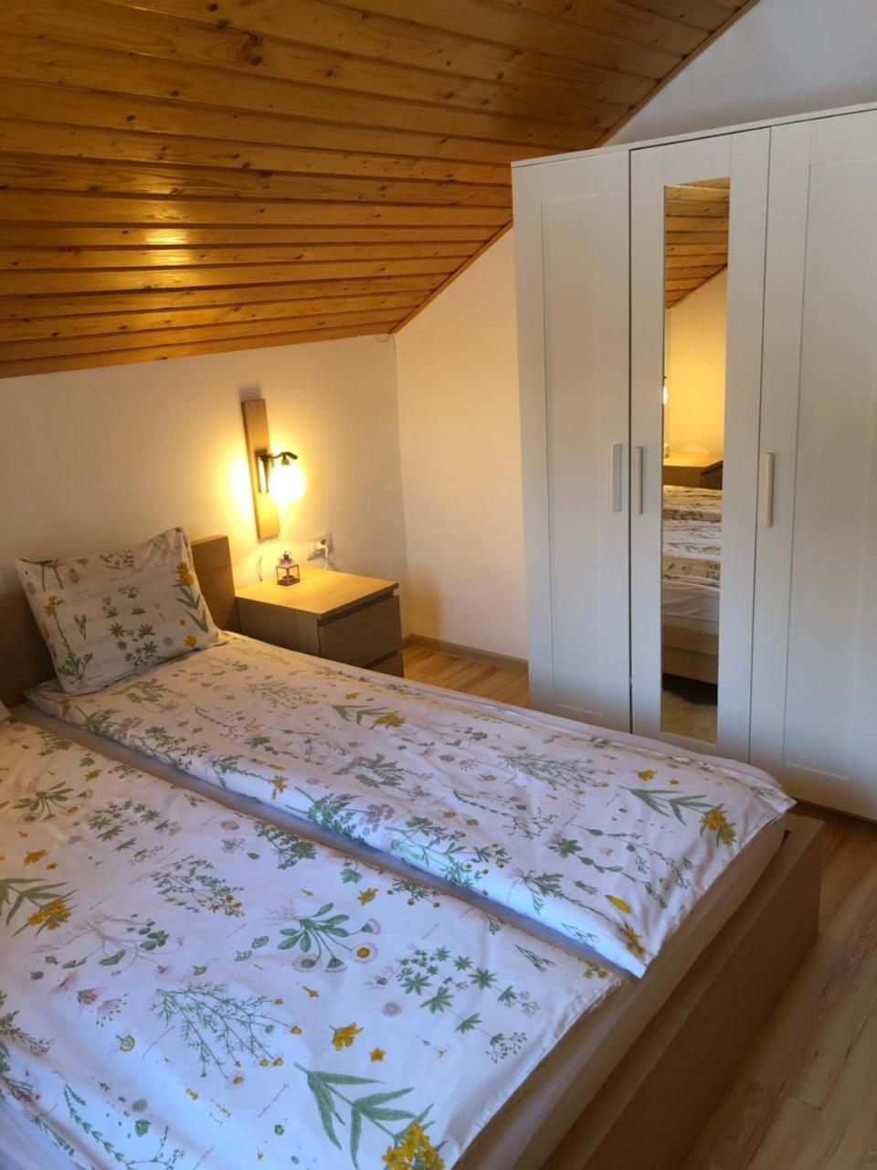 Casa De Vacanta Mogosa バイア・スプリエ エクステリア 写真