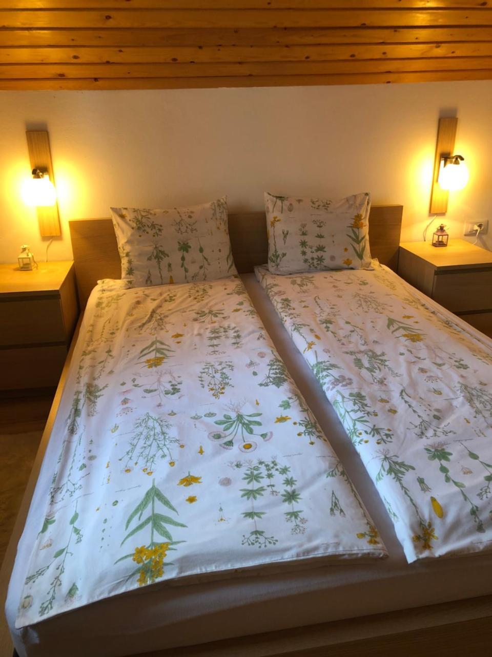 Casa De Vacanta Mogosa バイア・スプリエ エクステリア 写真