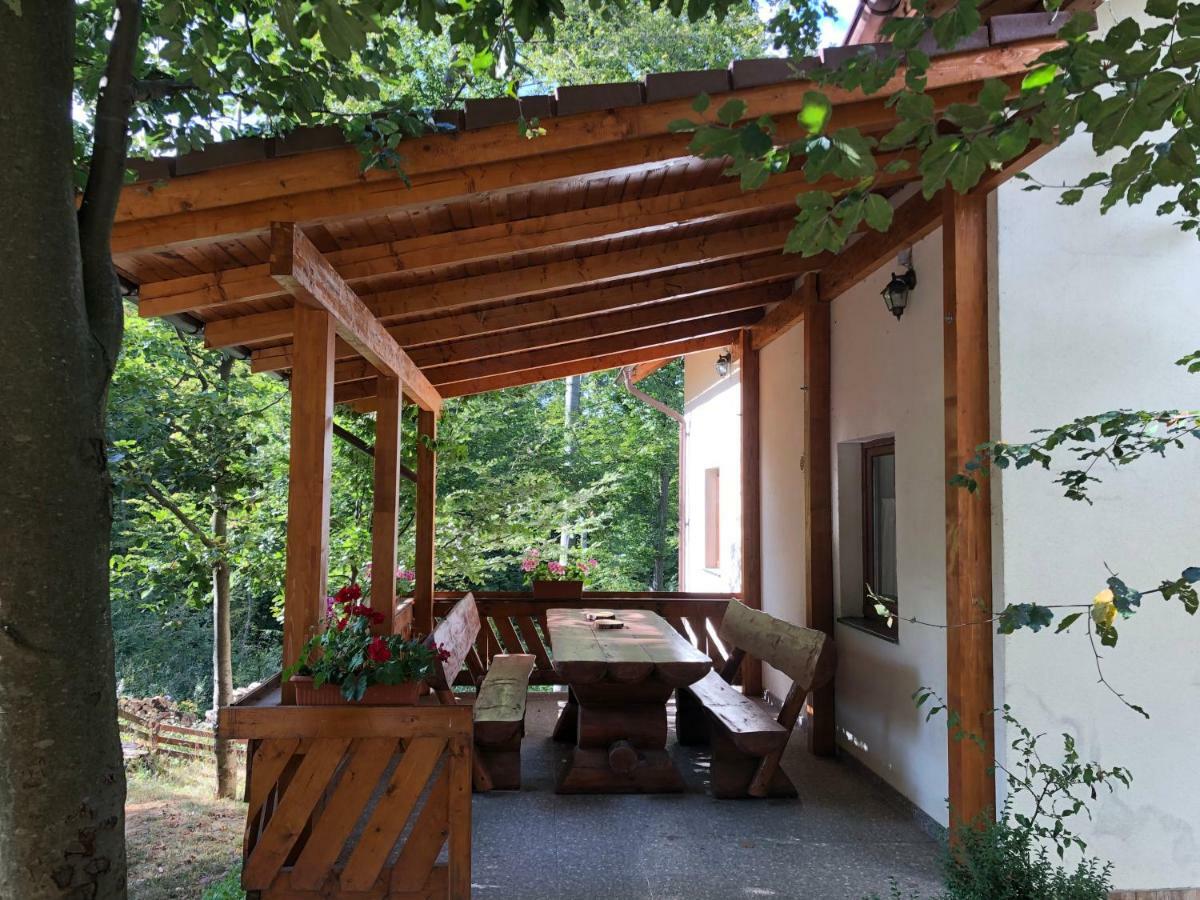 Casa De Vacanta Mogosa バイア・スプリエ エクステリア 写真