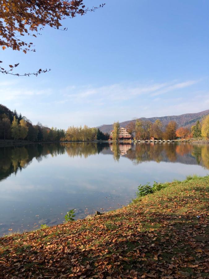 Casa De Vacanta Mogosa バイア・スプリエ エクステリア 写真