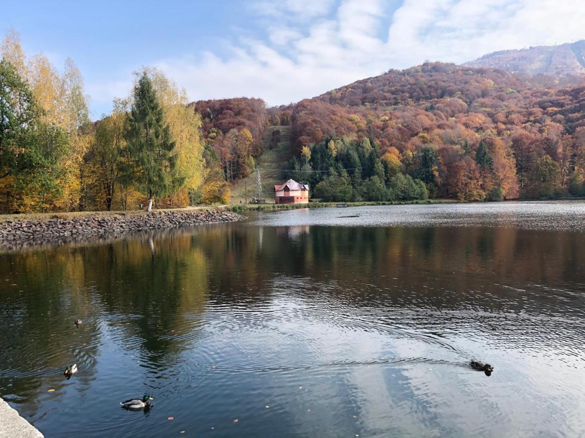 Casa De Vacanta Mogosa バイア・スプリエ エクステリア 写真